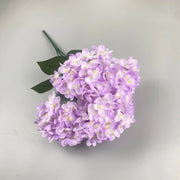 Purple flower cluster with green stem on a light gray background