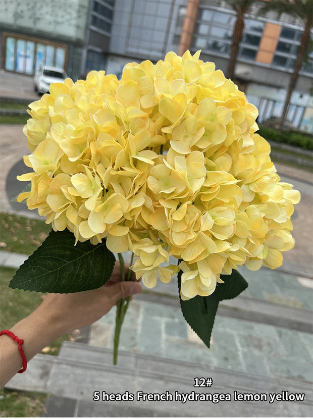 Bouquet of yellow French hydrangea flowers held by a person outdoors.