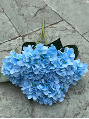 Blue flowers on a stone surface