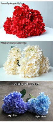 Three images of hydrangeas in red, white, and blue on a neutral background.