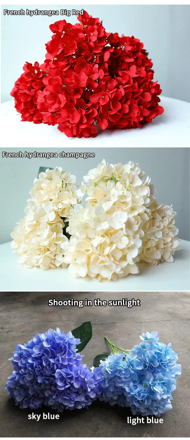Three images of hydrangeas in red, white, and blue on a neutral background.