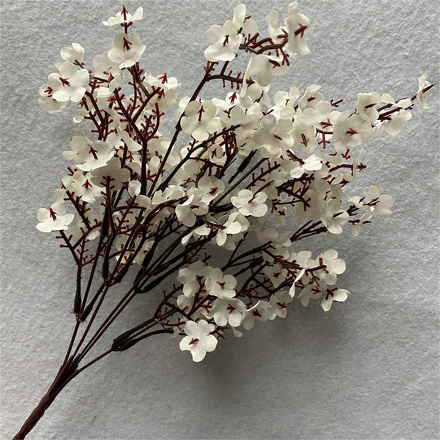Bouquet of white flowers with brown stems on a gray background