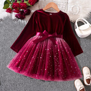 Maroon velvet dress with pink tulle skirt on a hanger, surrounded by flowers and shoes.