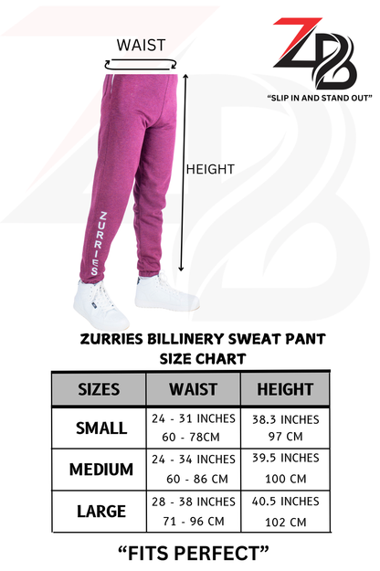 Zurries Billinery Sweat Pants (grey Colour)